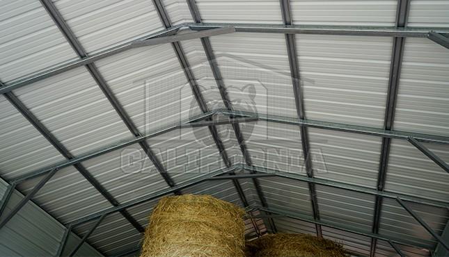 20x41 Steel Carport